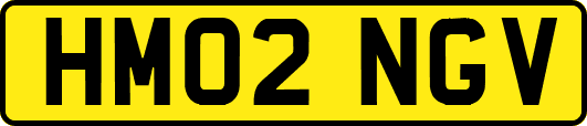 HM02NGV