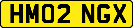 HM02NGX