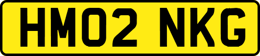 HM02NKG