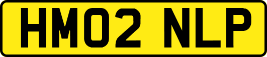 HM02NLP