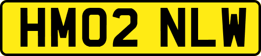 HM02NLW