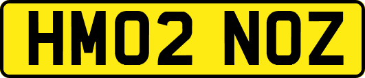 HM02NOZ