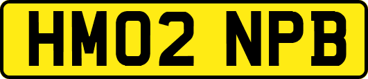 HM02NPB