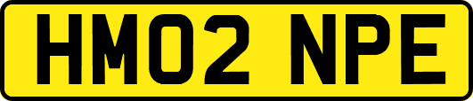 HM02NPE