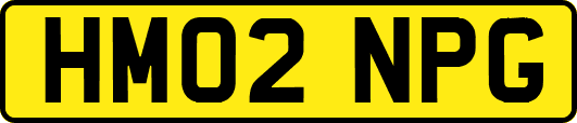 HM02NPG