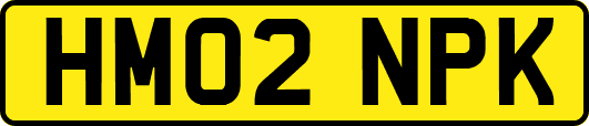HM02NPK