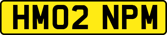 HM02NPM
