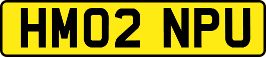 HM02NPU