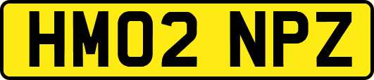 HM02NPZ