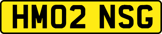 HM02NSG