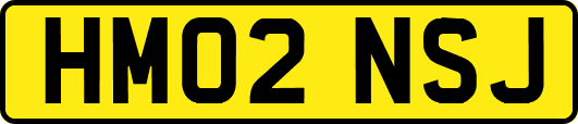 HM02NSJ