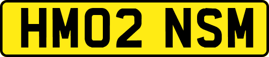 HM02NSM
