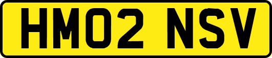 HM02NSV
