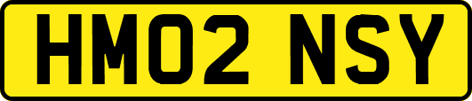 HM02NSY