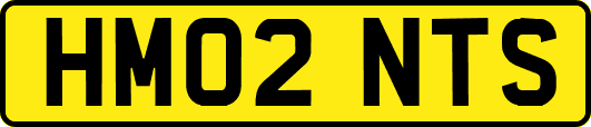 HM02NTS
