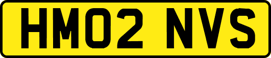 HM02NVS