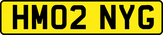 HM02NYG