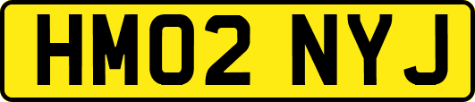HM02NYJ