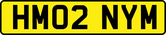 HM02NYM