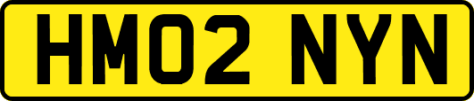 HM02NYN