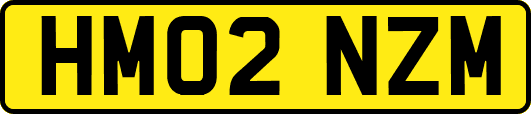 HM02NZM