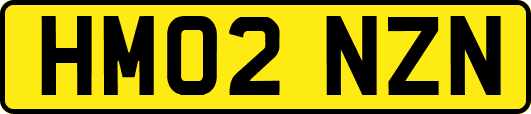 HM02NZN