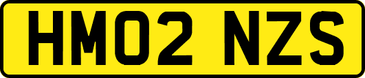 HM02NZS