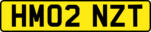 HM02NZT