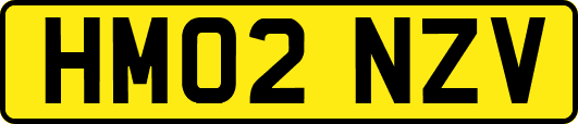 HM02NZV