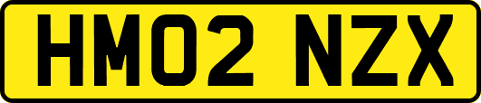 HM02NZX