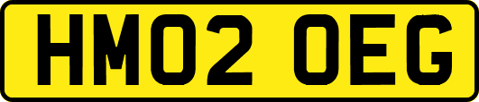 HM02OEG