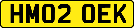HM02OEK