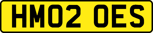 HM02OES
