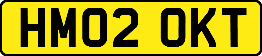 HM02OKT