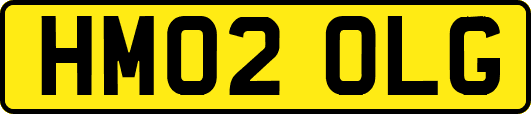 HM02OLG