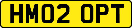 HM02OPT