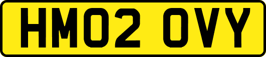 HM02OVY