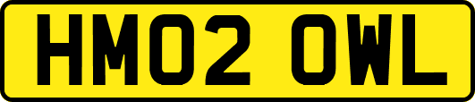 HM02OWL