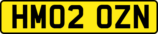 HM02OZN
