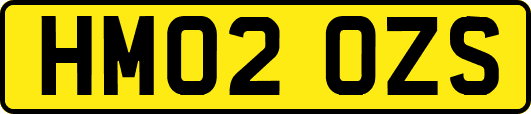 HM02OZS