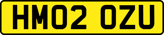 HM02OZU