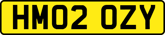 HM02OZY