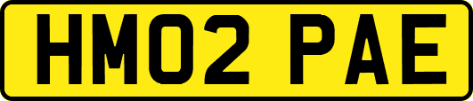HM02PAE
