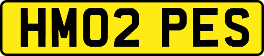 HM02PES