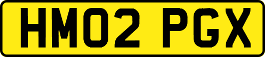 HM02PGX