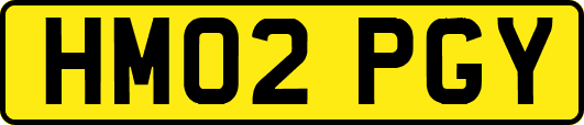 HM02PGY