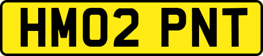 HM02PNT