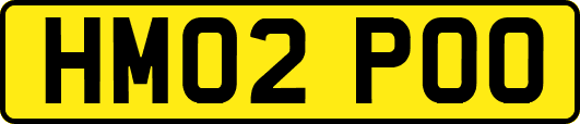 HM02POO