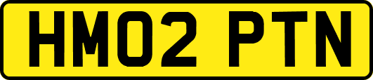 HM02PTN