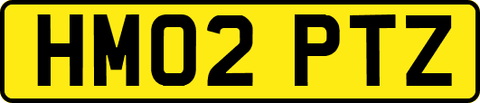 HM02PTZ